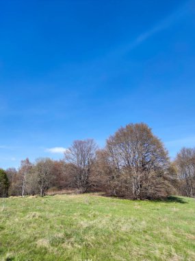 Bulgaristan 'ın Sofya Şehir Bölgesi' ndeki Vitosha Dağı 'nın şaşırtıcı bahar manzarası
