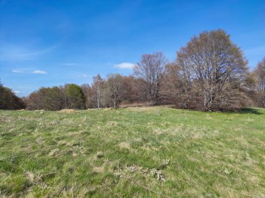Bulgaristan 'ın Sofya Şehir Bölgesi' ndeki Vitosha Dağı 'nın şaşırtıcı bahar manzarası