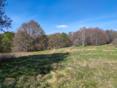 Bulgaristan 'ın Sofya Şehir Bölgesi' ndeki Vitosha Dağı 'nın şaşırtıcı bahar manzarası