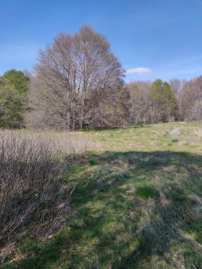 Bulgaristan 'ın Sofya Şehir Bölgesi' ndeki Vitosha Dağı 'nın şaşırtıcı bahar manzarası