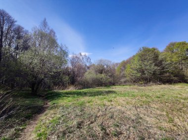 Bulgaristan 'ın Sofya Şehir Bölgesi' ndeki Vitosha Dağı 'nın şaşırtıcı bahar manzarası