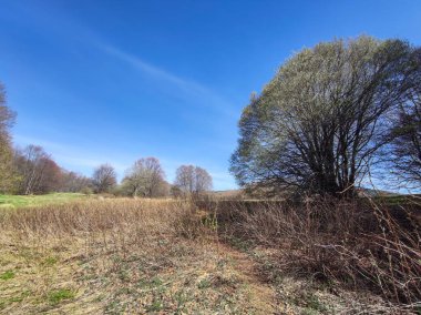 Bulgaristan 'ın Sofya Şehir Bölgesi' ndeki Vitosha Dağı 'nın şaşırtıcı bahar manzarası