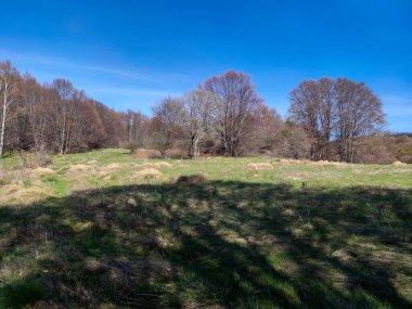 Bulgaristan 'ın Sofya Şehir Bölgesi' ndeki Vitosha Dağı 'nın şaşırtıcı bahar manzarası