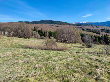 Bulgaristan 'ın Sofya Şehir Bölgesi' ndeki Vitosha Dağı 'nın şaşırtıcı bahar manzarası