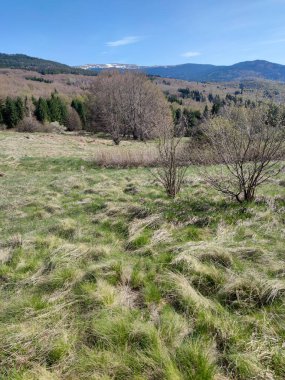 Bulgaristan 'ın Sofya Şehir Bölgesi' ndeki Vitosha Dağı 'nın şaşırtıcı bahar manzarası