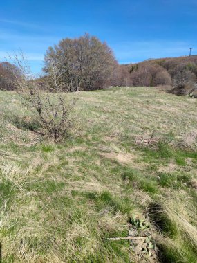 Bulgaristan 'ın Sofya Şehir Bölgesi' ndeki Vitosha Dağı 'nın şaşırtıcı bahar manzarası