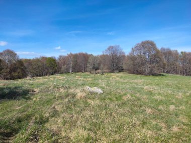 Bulgaristan 'ın Sofya Şehir Bölgesi' ndeki Vitosha Dağı 'nın şaşırtıcı bahar manzarası