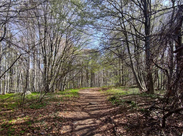 Increíble Vista Primavera Montaña Vitosha Región Ciudad Sofía Bulgaria — Foto de Stock