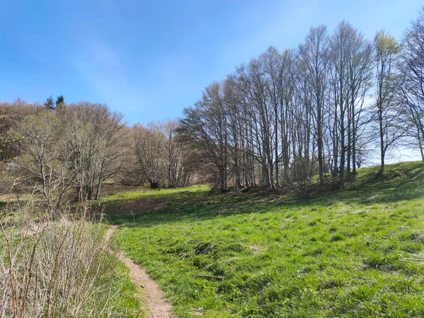 Incroyable Vue Printanière Sur Montagne Vitosha Région Sofia Bulgarie — Photo