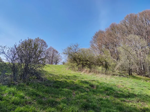 Fantastisk Vårutsikt Över Vitosha Mountain Sofia City Region Bulgarien — Stockfoto