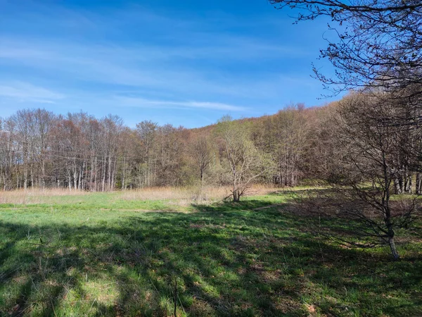 Vista Incrível Primavera Montanha Vitosha Região Cidade Sofia Bulgária — Fotografia de Stock