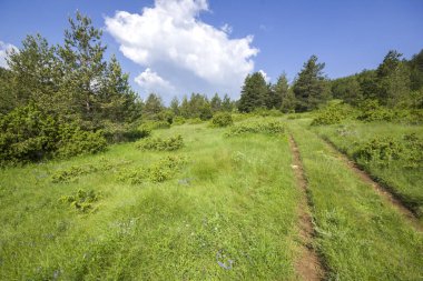 Bulgaristan 'ın Filibe Bölgesi' nin Dobrostan köyü yakınlarındaki Rodop Dağları manzarası