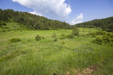 Bulgaristan 'ın Filibe Bölgesi' nin Dobrostan köyü yakınlarındaki Rodop Dağları manzarası