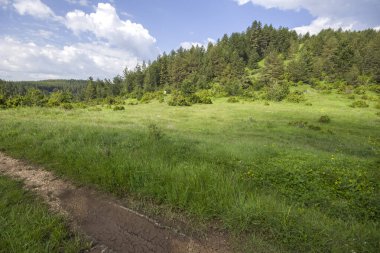 Bulgaristan 'ın Filibe Bölgesi' nin Dobrostan köyü yakınlarındaki Rodop Dağları manzarası