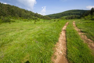 Bulgaristan 'ın Filibe Bölgesi' nin Dobrostan köyü yakınlarındaki Rodop Dağları manzarası