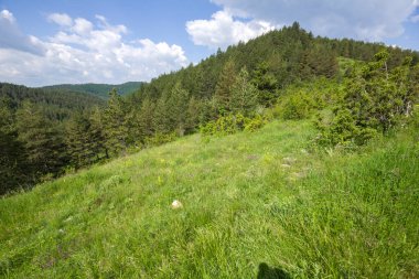 Bulgaristan 'ın Filibe Bölgesi' nin Dobrostan köyü yakınlarındaki Rodop Dağları manzarası