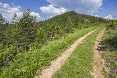 Bulgaristan 'ın Filibe Bölgesi' nin Dobrostan köyü yakınlarındaki Rodop Dağları manzarası
