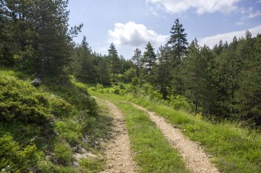 Bulgaristan 'ın Filibe Bölgesi' nin Dobrostan köyü yakınlarındaki Rodop Dağları manzarası