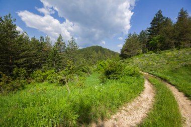 Bulgaristan 'ın Filibe Bölgesi' nin Dobrostan köyü yakınlarındaki Rodop Dağları manzarası