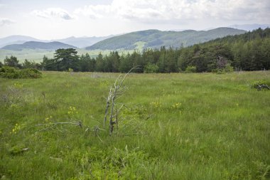 Bulgaristan 'ın Filibe Bölgesi' nin Dobrostan köyü yakınlarındaki Rodop Dağları manzarası