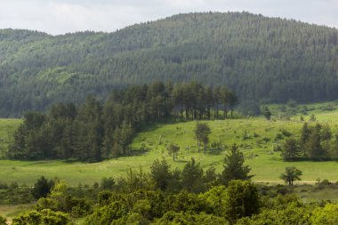 Bulgaristan 'ın Filibe Bölgesi' nin Dobrostan köyü yakınlarındaki Rodop Dağları manzarası