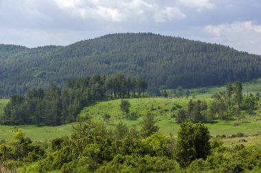 Bulgaristan 'ın Filibe Bölgesi' nin Dobrostan köyü yakınlarındaki Rodop Dağları manzarası