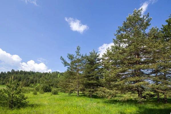 Landskap Rhodope Berg Nära Byn Dobrostan Plovdiv Region Bulgarien — Stockfoto