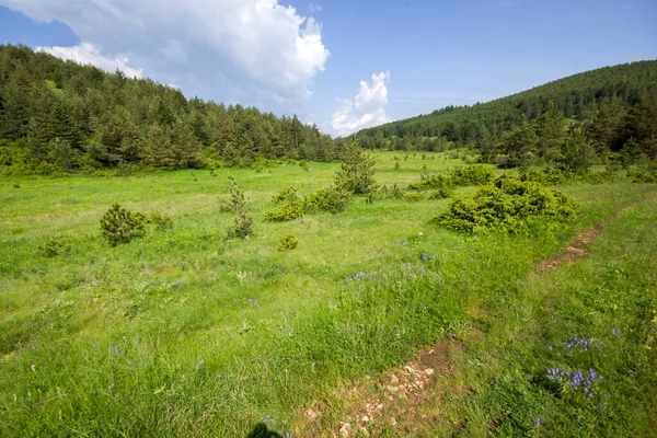 Landskap Rhodope Berg Nära Byn Dobrostan Plovdiv Region Bulgarien — Stockfoto