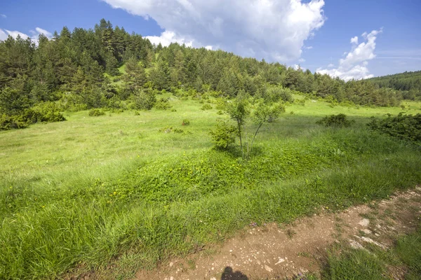 Landschap Rhodopegebergte Bij Dorp Dobrostan Regio Plovdiv Bulgarije — Stockfoto