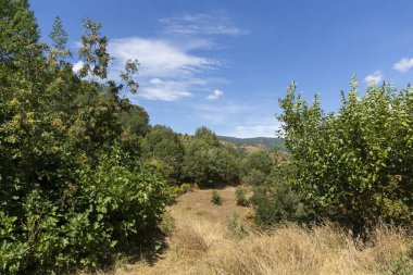 Bulgaristan 'ın Blagoevgrad bölgesindeki şeytanlarla dolu manastır olarak bilinen Aziz George' a adanmış Ortaçağ Churilovo manastırı.