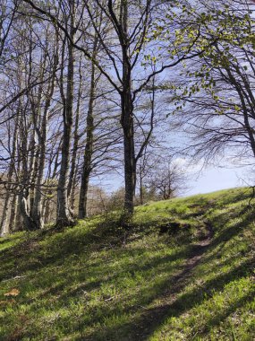 Bahar manzarası Vitosha Dağı, Sofya Şehir Bölgesi, Bulgaristan