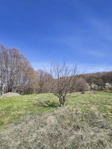 Paisagem Primavera Montanha Vitosha Região Cidade Sofia Bulgária — Fotografia de Stock