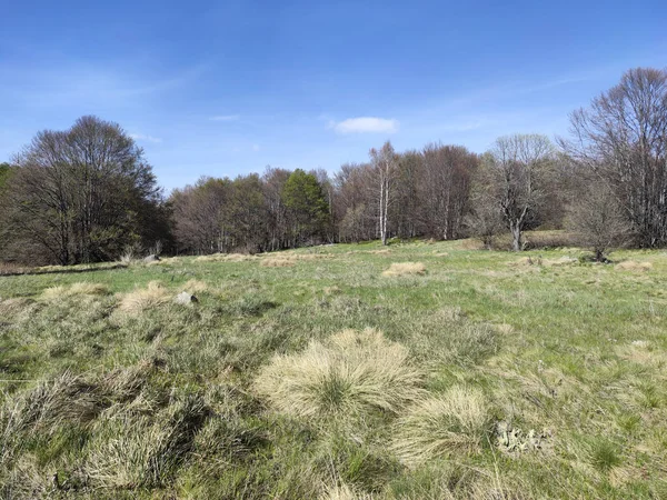 Vårlandskap Vitosha Mountain Sofia City Region Bulgarien — Stockfoto