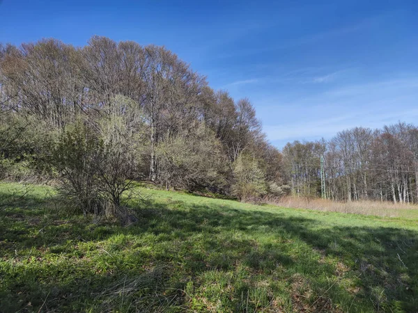 Tavaszi Táj Vitosha Mountain Szófia Város Régió Bulgária — Stock Fotó