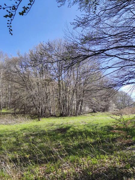 Vårlandskap Vitosha Mountain Sofia City Region Bulgarien — Stockfoto