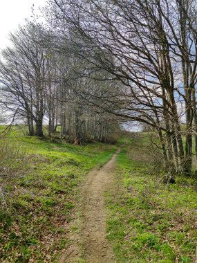 Bahar manzarası Vitosha Dağı, Sofya Şehir Bölgesi, Bulgaristan