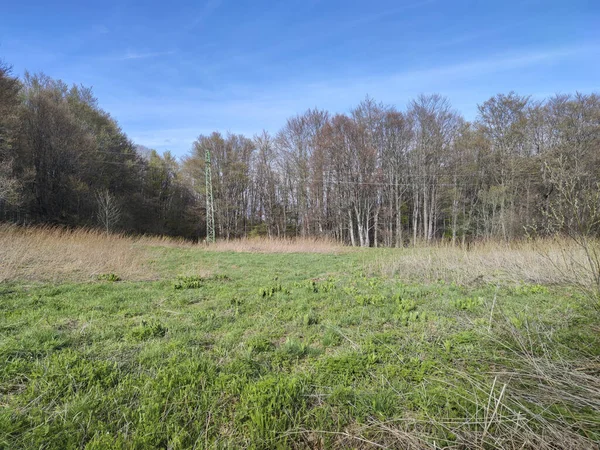 Bahar manzarası Vitosha Dağı, Sofya Şehir Bölgesi, Bulgaristan