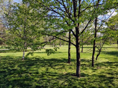 SOFYA, BULGARIA - 27 Nisan 2020: Bulgaristan 'ın Sofya kentindeki South Park' ın bahar manzarası