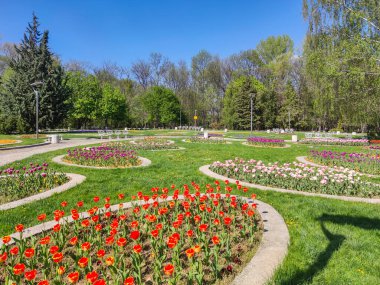 SOFYA, BULGARIA - 27 Nisan 2020: Bulgaristan 'ın Sofya kentindeki South Park' ın bahar manzarası