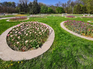 SOFYA, BULGARIA - 27 Nisan 2020: Bulgaristan 'ın Sofya kentindeki South Park' ın bahar manzarası