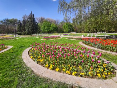 SOFYA, BULGARIA - 27 Nisan 2020: Bulgaristan 'ın Sofya kentindeki South Park' ın bahar manzarası
