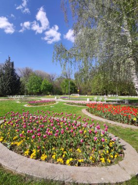 SOFYA, BULGARIA - 27 Nisan 2020: Bulgaristan 'ın Sofya kentindeki South Park' ın bahar manzarası