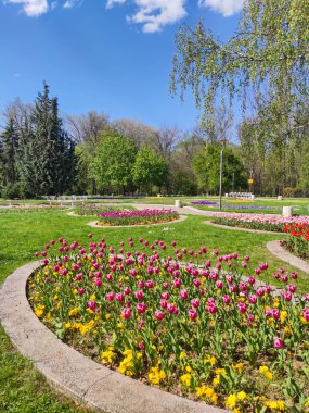 SOFYA, BULGARIA - 27 Nisan 2020: Bulgaristan 'ın Sofya kentindeki South Park' ın bahar manzarası