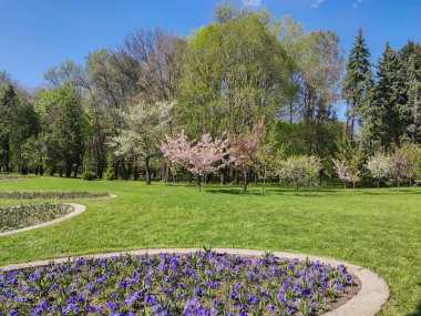 SOFYA, BULGARIA - 27 Nisan 2020: Bulgaristan 'ın Sofya kentindeki South Park' ın bahar manzarası