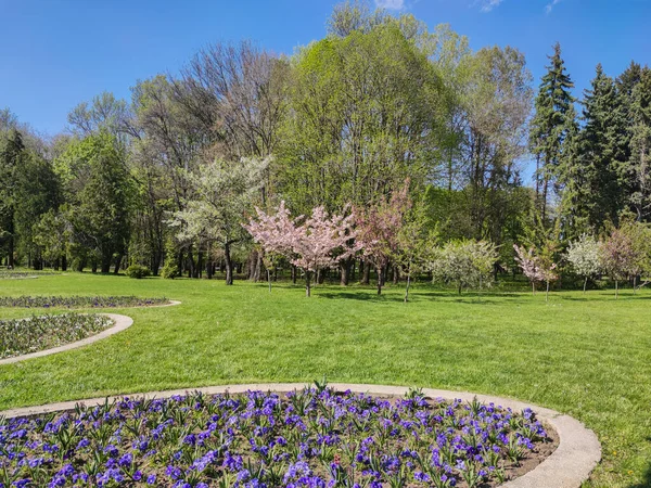 SOFYA, BULGARIA - 27 Nisan 2020: Bulgaristan 'ın Sofya kentindeki South Park' ın bahar manzarası