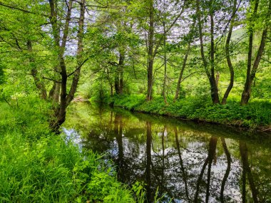 Bulgaristan 'ın başkenti Sofya' nın Pancharevo Gölü yakınlarındaki Iskar Nehri 'nin Bahar Manzarası