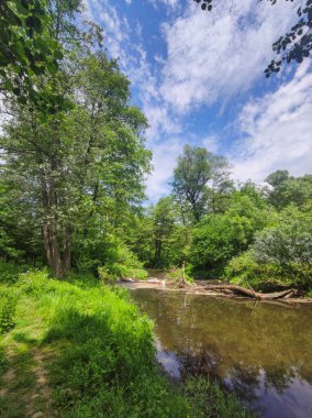 Bulgaristan 'ın başkenti Sofya' nın Pancharevo Gölü yakınlarındaki Iskar Nehri 'nin Bahar Manzarası