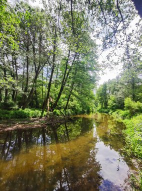Bulgaristan 'ın başkenti Sofya' nın Pancharevo Gölü yakınlarındaki Iskar Nehri 'nin Bahar Manzarası