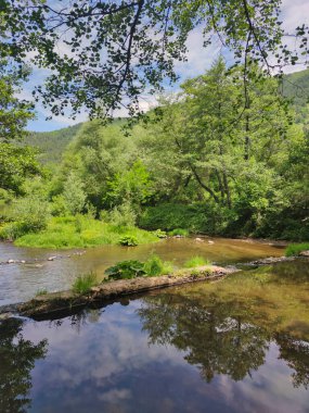 Bulgaristan 'ın başkenti Sofya' nın Pancharevo Gölü yakınlarındaki Iskar Nehri 'nin Bahar Manzarası
