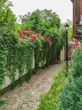 PLOVDIV, BULGARIA - 19 Mayıs 2020: Bulgaristan 'ın Plovdiv kentindeki eski şehir, mimari ve tarihi rezervlerde Sokak ve Dokuzuncu Yüzyıl Evleri